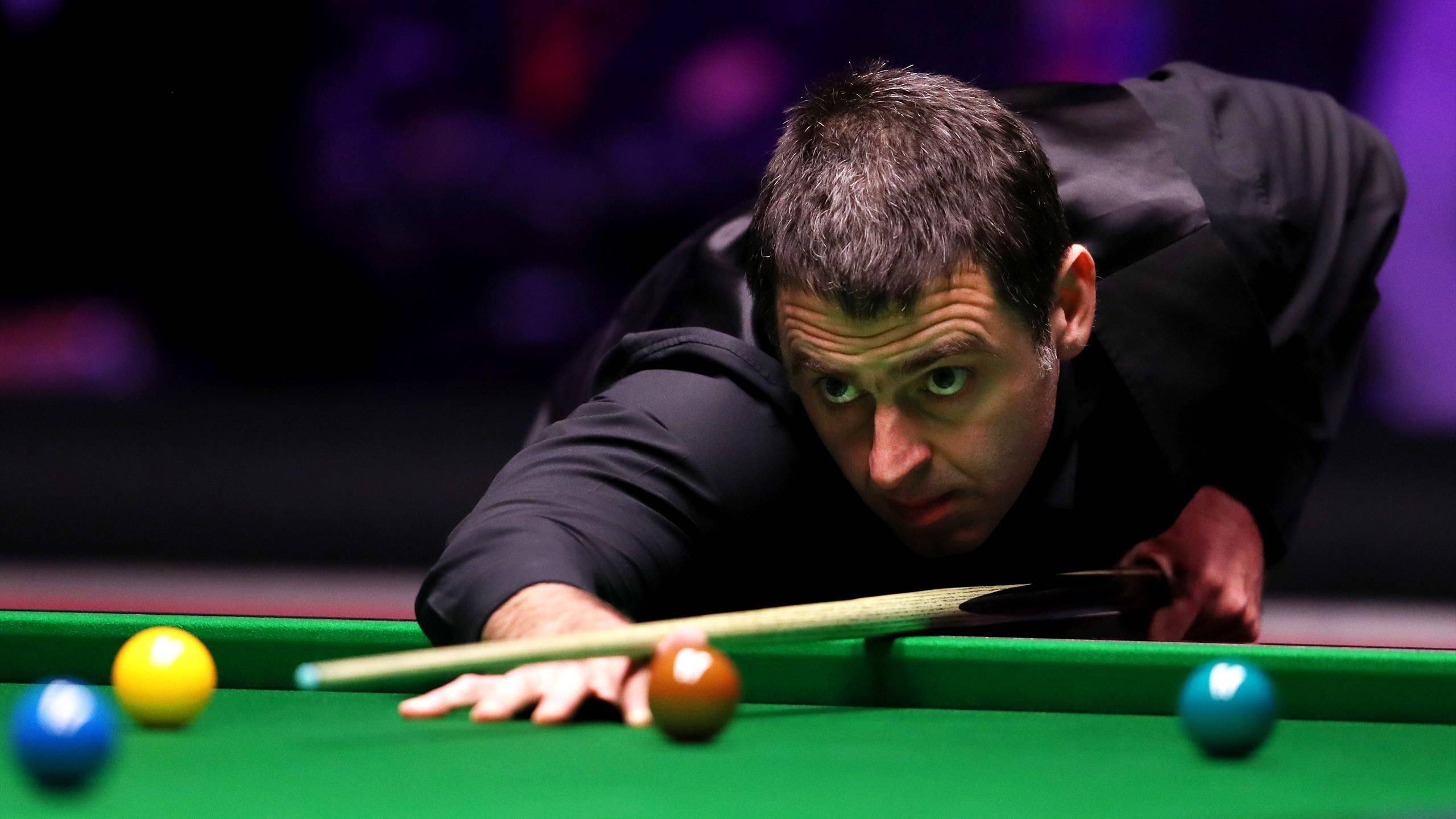 成功案例的 成功案例的