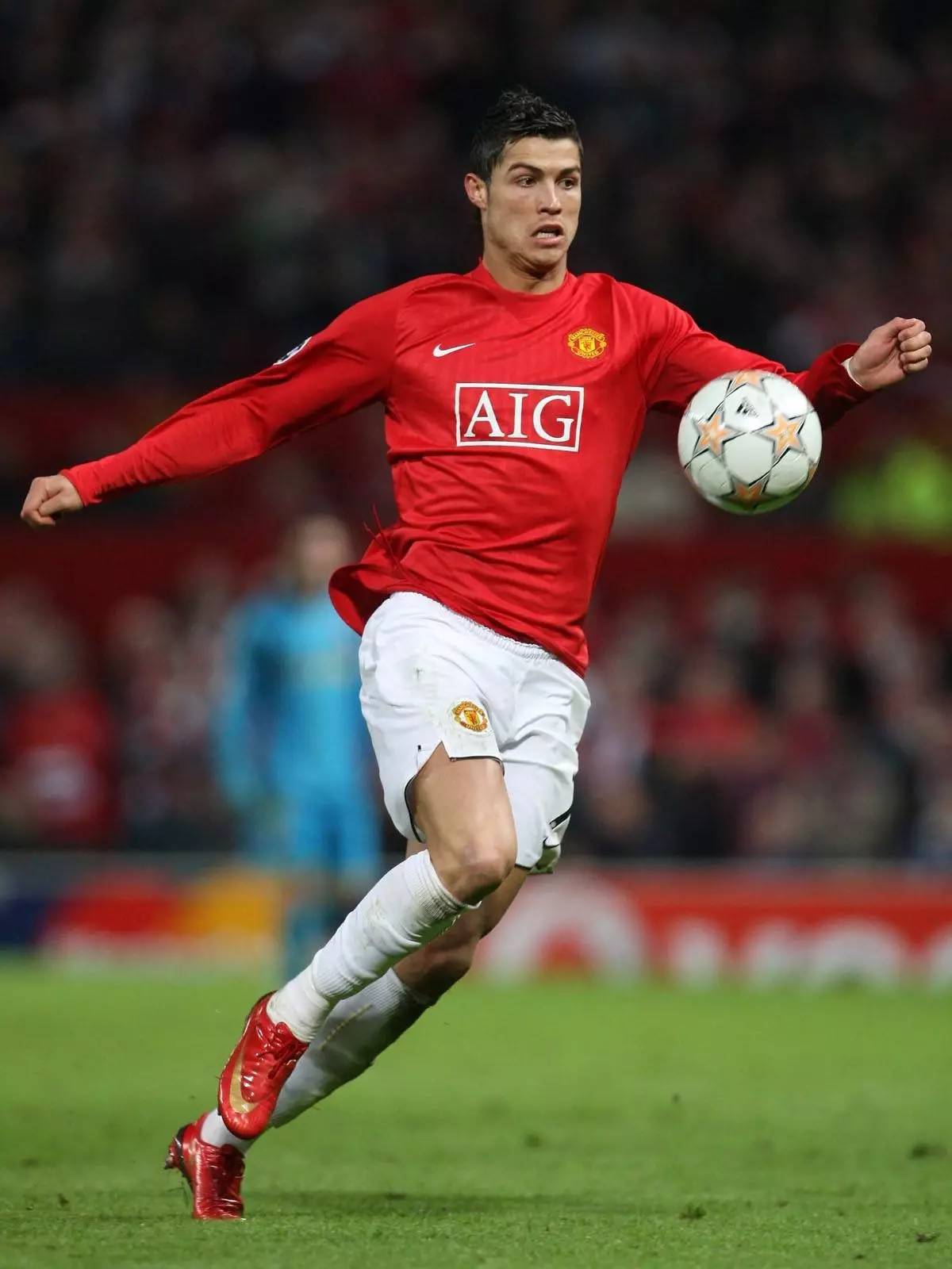 程序标准 程序标准