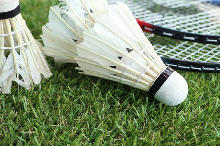 寻找中锋顺 寻找中锋顺