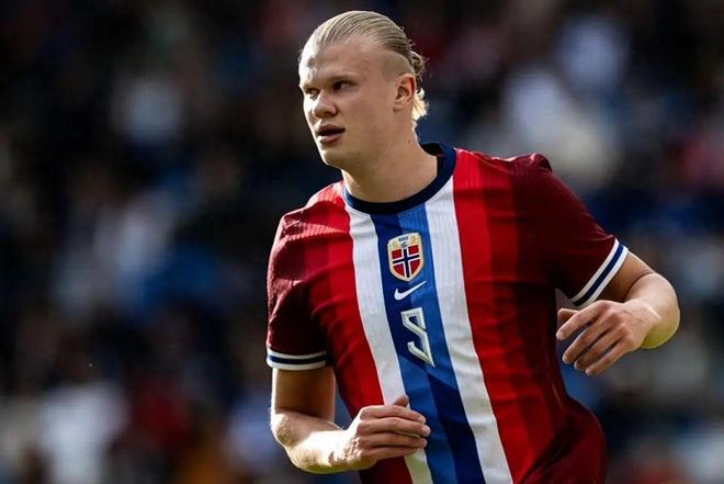 预计为一份 预计为一份