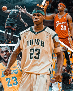 典赛